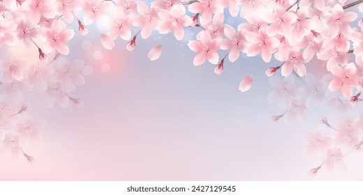 Cherry Blossoms Spring Petals Background