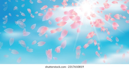 Cherry Blossoms Spring Sky Landscape Background