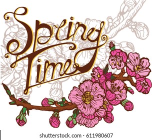 cherry blossoms, spring time
