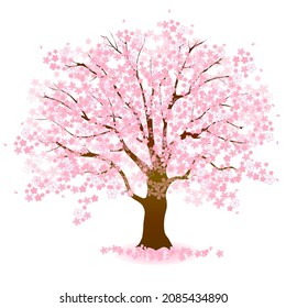 Cherry blossoms spring tree icon