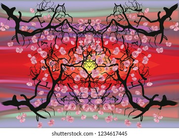 Cherry blossoms at sunset