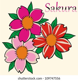 cherry blossoms vector