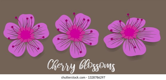 Cherry blossoms vector, paper art
