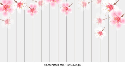 Flores de cerezo fondo de la pared