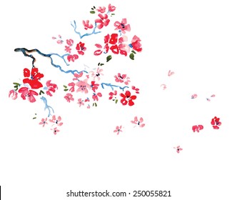 cherry blossoms watercolor background vector