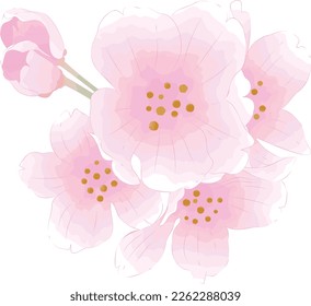 Cherry blossoms in watercolor style 2