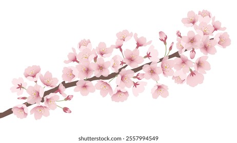 Cherry blossoms Watercolor style vector illustration