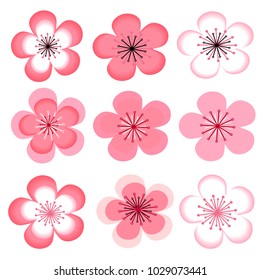 Cherry blossom,Sakura Icon set on white background  , vector illustration , image.