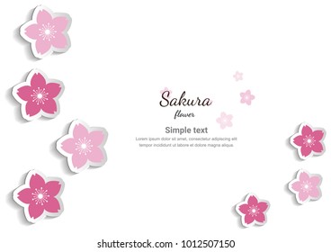 Cherry blossom,Sakura pink flowers  

background.