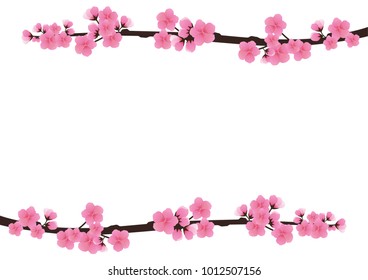 Cherry blossom,Sakura pink flowers  

background.