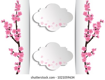 Cherry blossom,Sakura pink flowers  background.