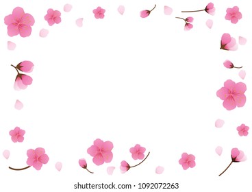 Cherry blossom,Sakura pink flowers  background.