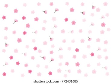 Cherry blossom,Sakura pink flowers  background.