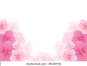 Cherry blossom,Sakura pink flowers  background.
