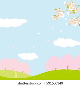 cherry blossoms,spring scenery nature