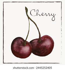 Cherry ,botanist illustrations. Red juicy cherries on a watercolor sheet. Vector illustration