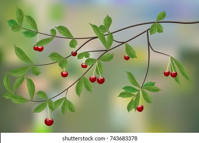 Cherry branch with berries on color abstract background, vector.