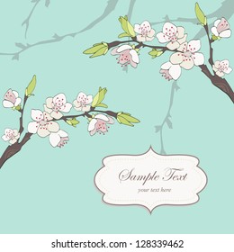 Cherry branch in blossom. Seasonal background.