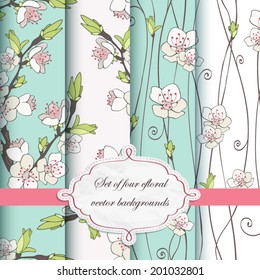 Cherry branch in blossom. Set of four vector backgrounds.