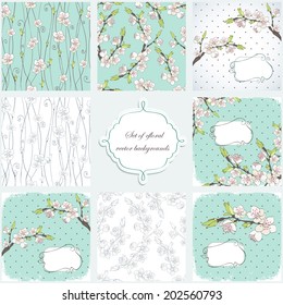 Cherry branch in blossom. Set of four vector backgrounds.