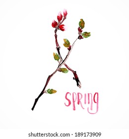 Cherry branch with buds