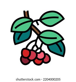 cherry branch color icon vector. cherry branch sign. isolated symbol illustration