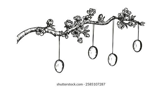 Cherry branch with Easter eggs sketch outline illustration. Tree branch festive doodle drawing in engraving style. Hand drawn vector line art clipart