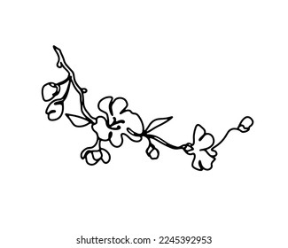 Cherry branch with flowers one line art or sprimg blooming apple blossom hand drawn black and white outline vector illustration