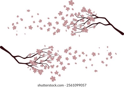 Cherry branch with flying petals