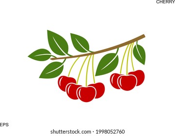 Cherry branch. Isolated cherry on white background