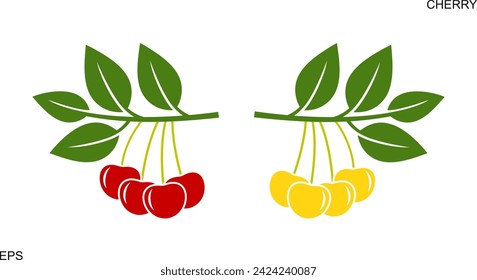 Cherry branch. Isolated cherry on white background