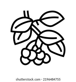 vector de icono de línea de bifurcación de cerezo. signo de rama de cerezo. símbolo de contorno aislado ilustración negra