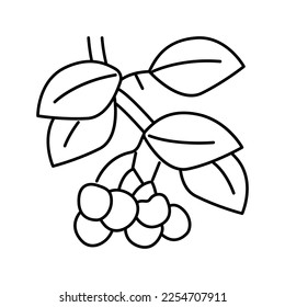 cherry branch line icon vector. cherry branch sign. isolated contour symbol black illustration