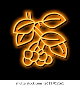 cherry branch neon light sign vector. cherry branch illustration