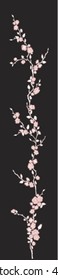 Cherry branch on black background