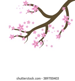 Cherry branch on the white background, vector illustration