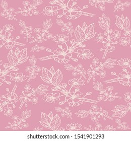 Cherry branch pattern with flowers of delicate color on a pink background vector illustration for design and decoration
