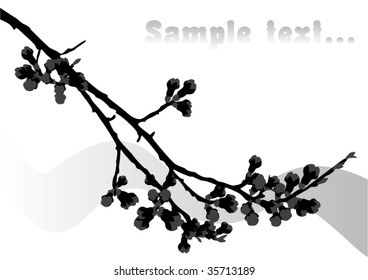 cherry branch with place for your text