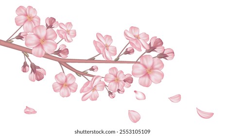 Kirschzweig realistisch. Sakura Pflanze mit Blättern und Blütenblatt. Romantische Knospe. Vorlage für Poster oder Banner. Traditionelle asiatische Pflanze. 3D-Vektorgrafik einzeln auf weißem Hintergrund