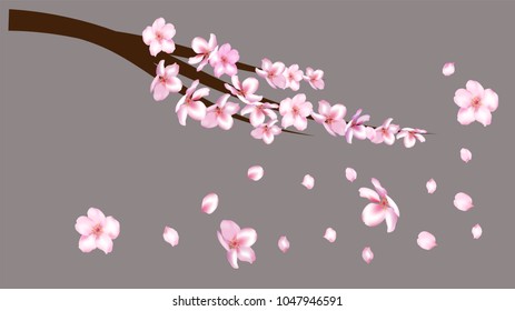Cherry Branch Realistic Vector Illustration. Spring Design with Apple, Peach, Sakura, Apricot Blossoms and Falling Down Petals. Realistic Blossom Cherry Branch, Showering Petals, Wedding Decoration.