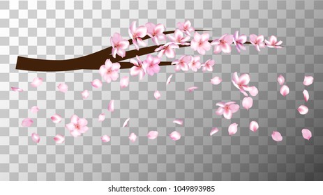 Cherry Branch Realistic Vector Illustration. Spring Design with Apple, Peach, Sakura, Apricot Blossoms and Petals Falling Down. Magic Love Spring Background, Nice Showering Petals, Wedding Decoration.