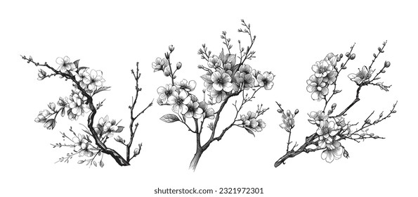 Cherry branch sakura set sketch hand drawn in doodle style illustration