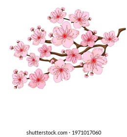 Cherry branch tree vector illustration in cartoon style. Summer clipart autumn clipart nature forest, Background cherry blossom spring flower Japan, Branch of blooming sakura with flowers. EPS 10