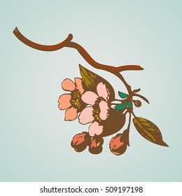 Cherry branches with flowers, sakura vector illustration