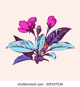 Cherry branches with flowers, sakura vector illustration