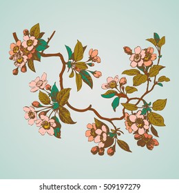 Cherry branches with flowers, sakura vector illustration