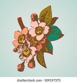 Cherry branches with flowers, sakura vector illustration
