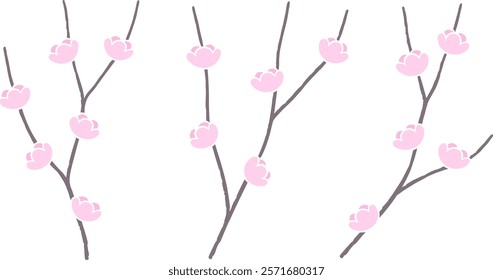 Cherry branches with pink flowers