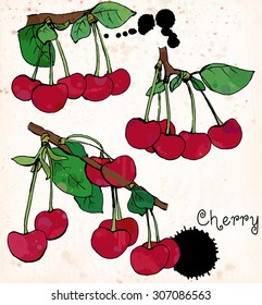 Cherry. Bright red berries with leaves and branches. Color illustration with black pen outlines on vintage beige background. Vector illustration.