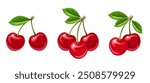 Cherry. Bunches of cherry berries isolated on a white background. Set of vector illustrations. Hand-drawn illustration, not AI